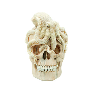 OCTOPUS SKULL