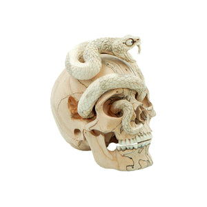 PRE-ORDER - SNAKE SKULL