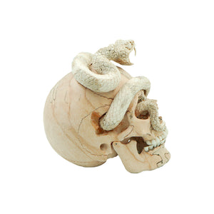 PRE-ORDER - SNAKE SKULL