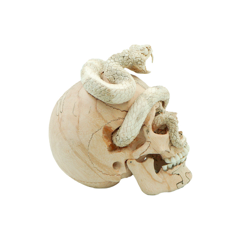 PRE-ORDER - SNAKE SKULL