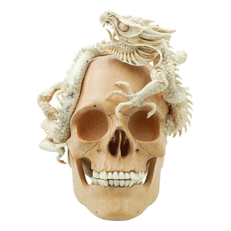 DRAGON SKULL