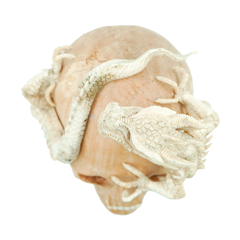 DRAGON SKULL