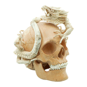 DRAGON SKULL