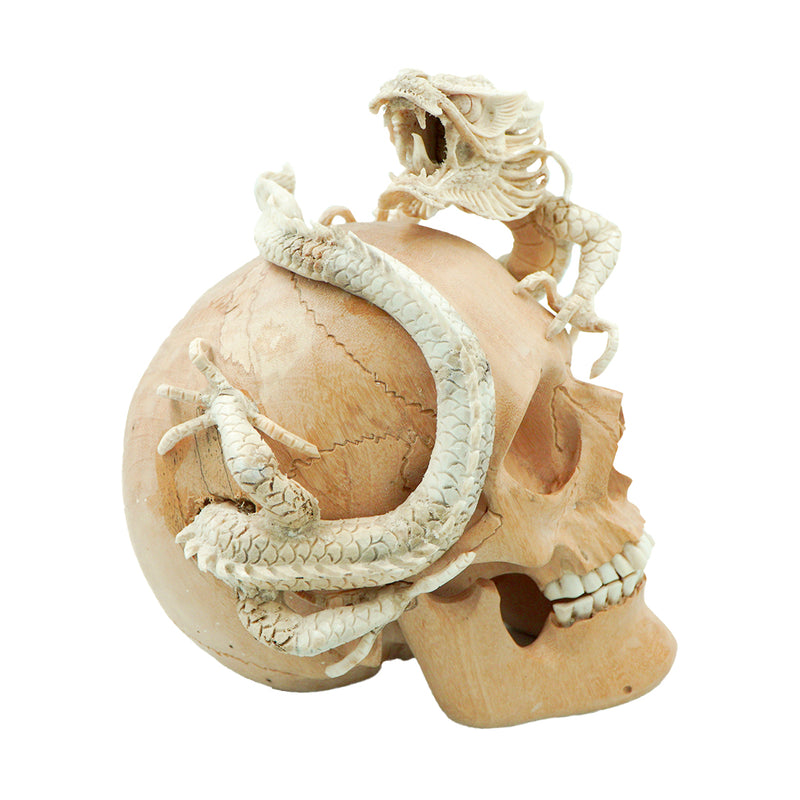 DRAGON SKULL