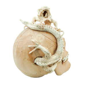 DRAGON SKULL
