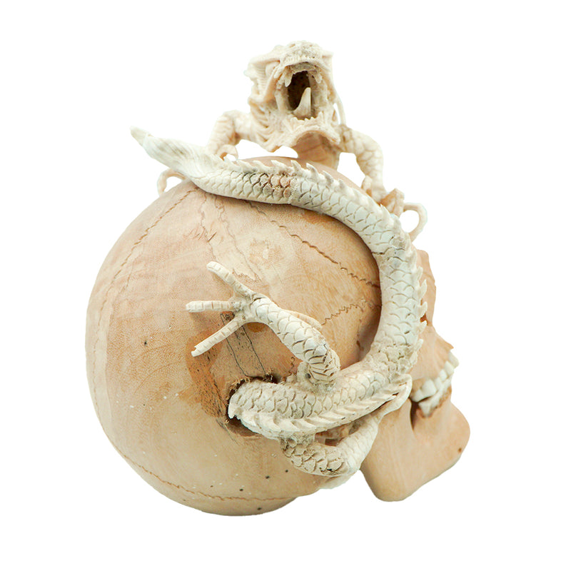 DRAGON SKULL