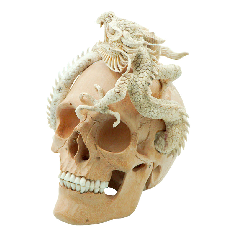 DRAGON SKULL