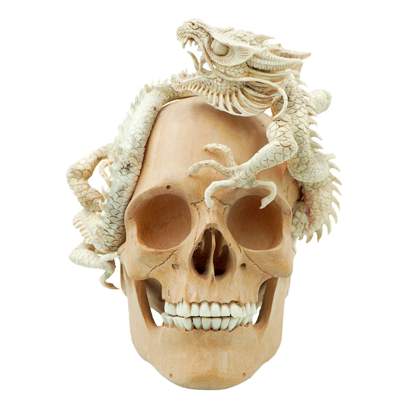 DRAGON SKULL