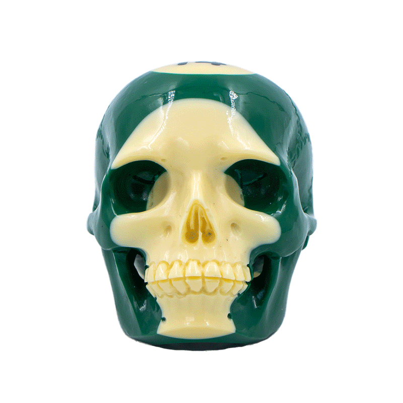 POOL BALL SKULL