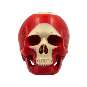 POOL BALL SKULL