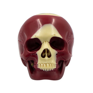 POOL BALL SKULL