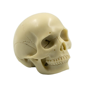 POOL BALL SKULL