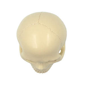 POOL BALL SKULL