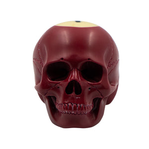 POOL BALL SKULL