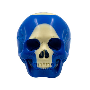 POOL BALL SKULL