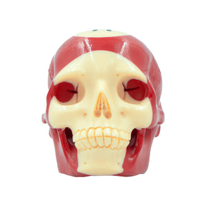 POOL BALL SKULL