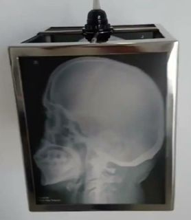 SKULLPTURE - XRAY - STERLING STEEL - LAMP - SKULL BRAND