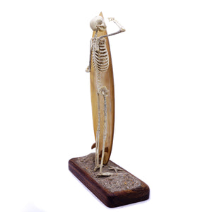 LOCAL ONLY HAND CARVED SKELETON SKULL WITH SURFBOARD ART DECORATION
