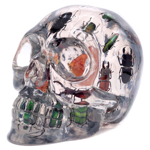 A BUGS LIFE RESIN HAND CARVED SKULL ART DECORATION