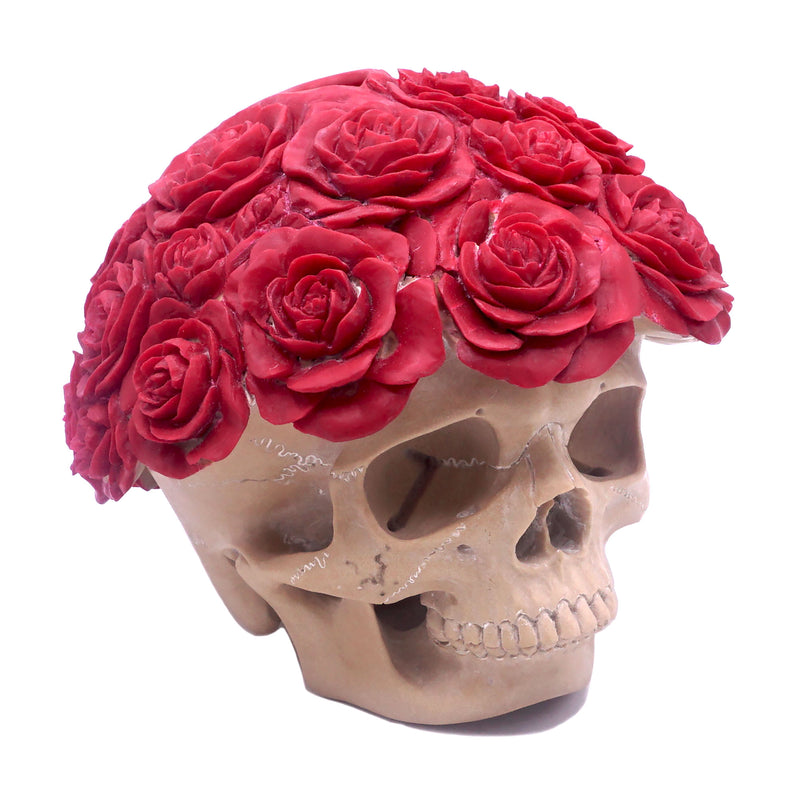 SKULL AND ROSES