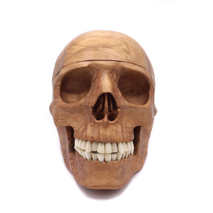 HAND CARVED WOOD BRAIN SKULL WITH BONE TEETH AND RUBBER