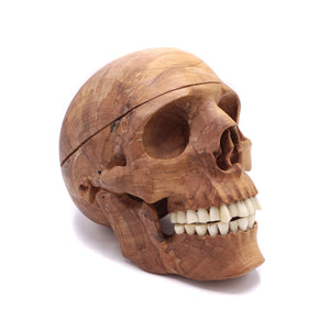 HAND CARVED WOOD BRAIN SKULL WITH BONE TEETH AND RUBBER