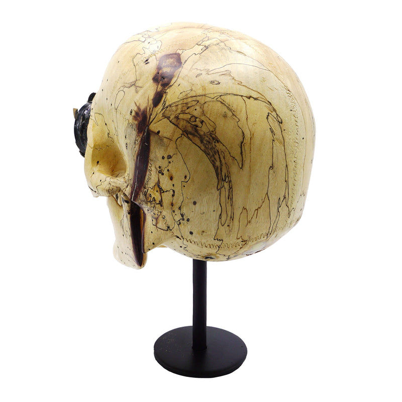 HAND CARVED WOOD SKULL WITH UPCYCLED VINTAGE CAMERA LENS