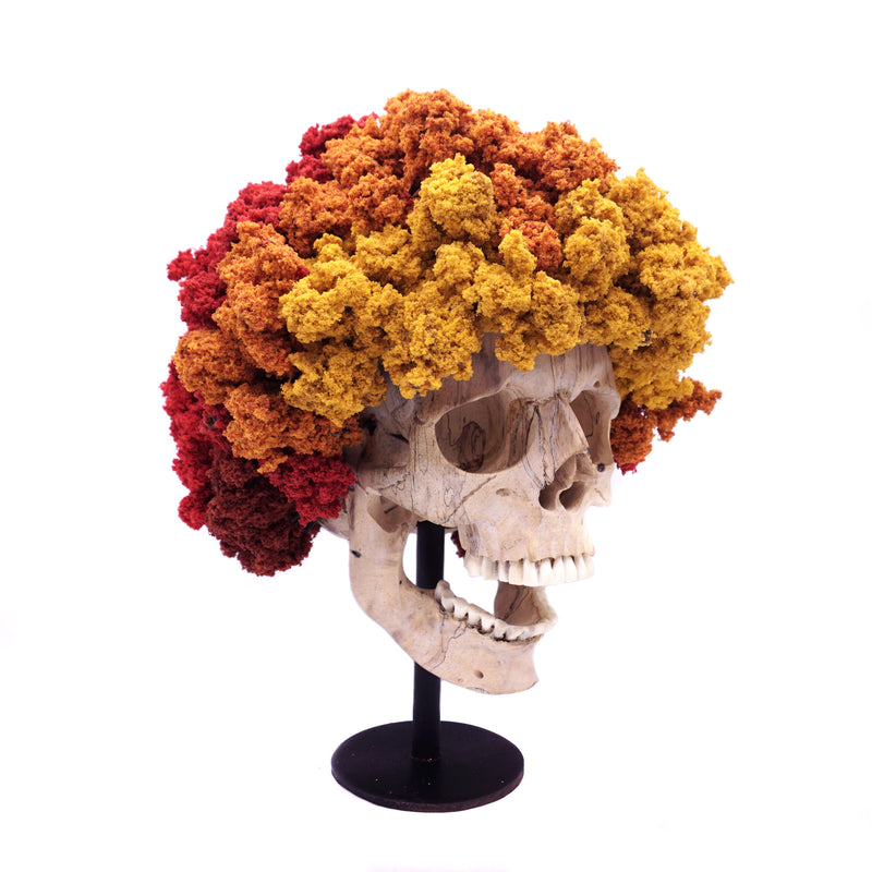 HAND CARVED WOOD SKULL PERM CULTURE THE FALL OF BOB ROSS SCENIC DECIDUOUS TREES MEDIUM 