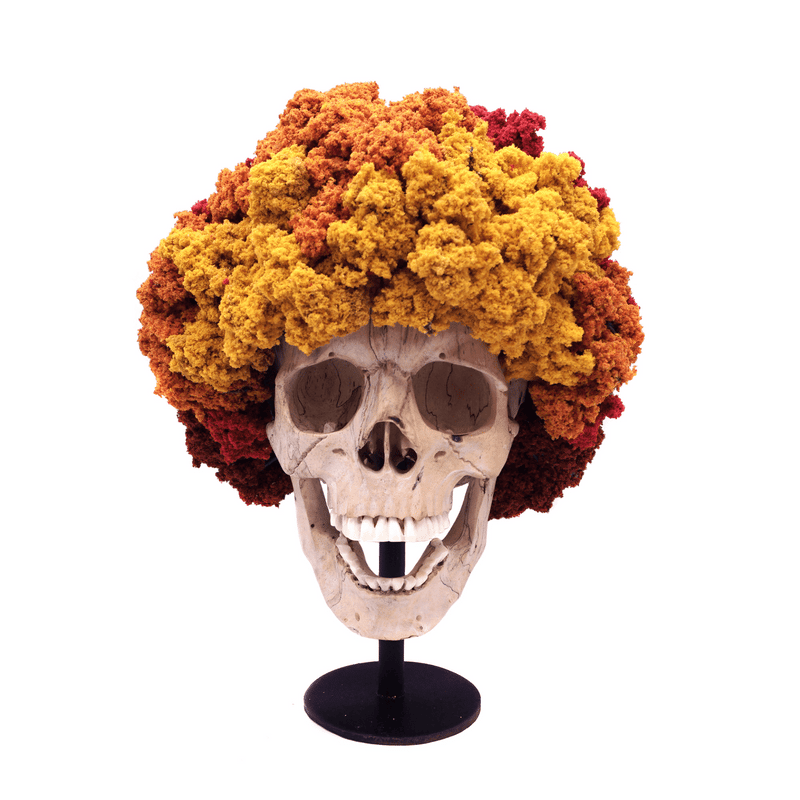 HAND CARVED WOOD SKULL PERM CULTURE THE FALL OF BOB ROSS SCENIC DECIDUOUS TREES MEDIUM 