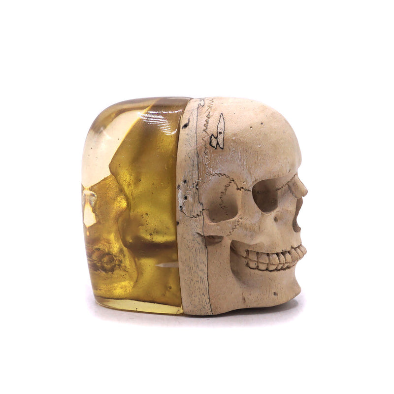 ABOUT FACE - HAND CARVED WOOD AND RESIN SKULL