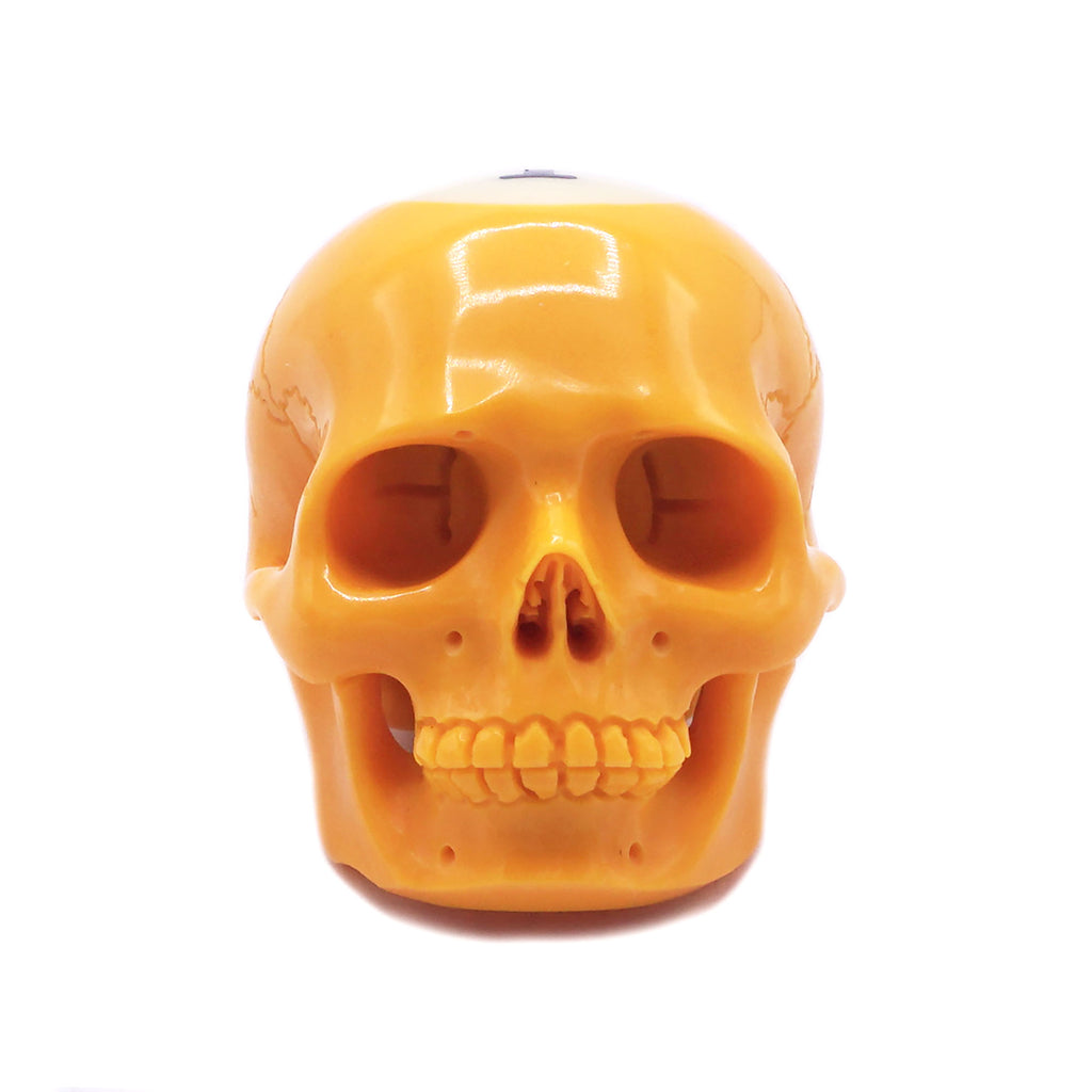 POOL BALL SKULL