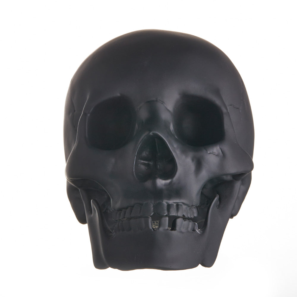 REALISTIC ALMOST LIFE SIZE SKULL - MATTE BLACK