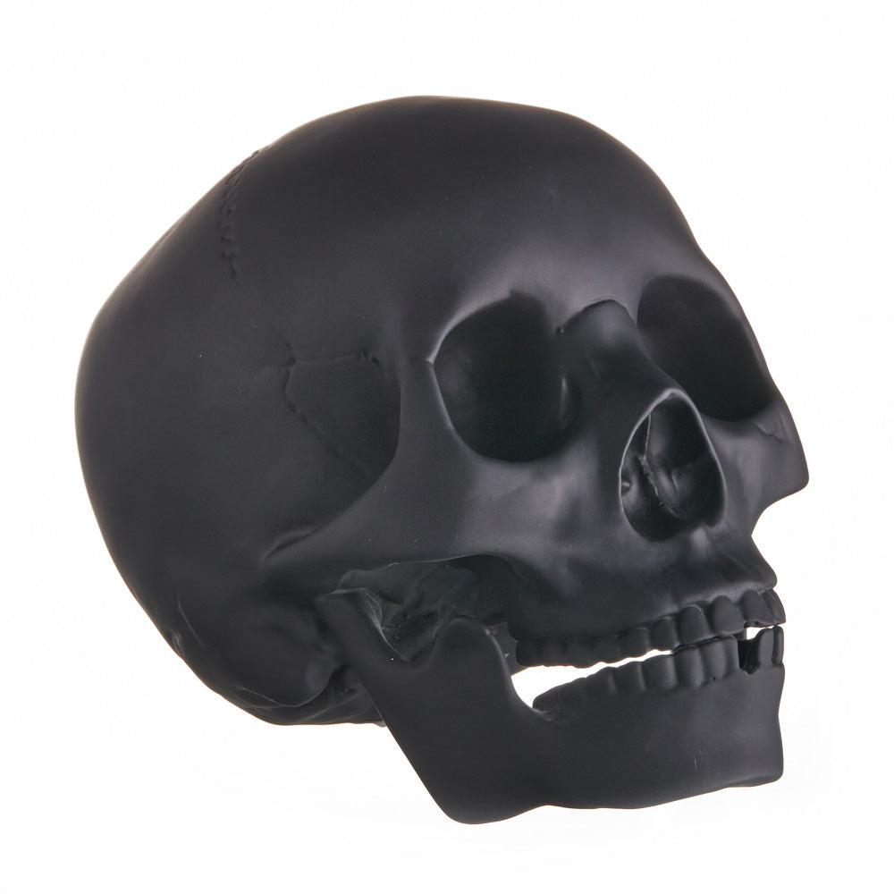 REALISTIC ALMOST LIFE SIZE SKULL - MATTE BLACK