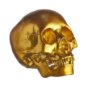 REALISTIC ALMOST LIFE SIZE SKULL - MATTE GOLD