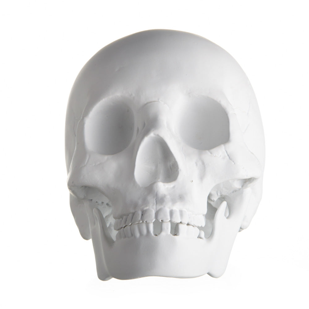 REALISTIC ALMOST LIFE SIZE SKULL - MATTE WHITE